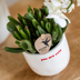 Gift set "Love You" | Red Phalaenopsis Orchid Congo with green plant in Love planters on a Cloud plate Bild 3