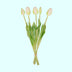 Künstliche Tulpen Weiß/Grün, 42cm, 5 Stück 'Real Touch' Bild 4