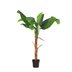Artificial Banana Plant Musa - 150 cm - Tropical Flair Without Maintenance Bild 1