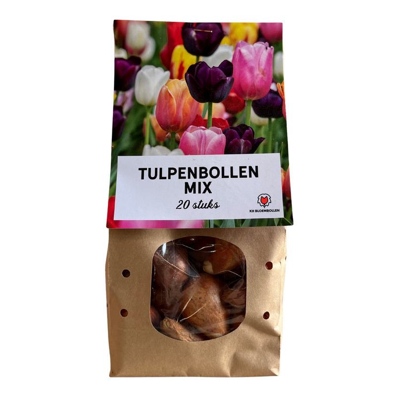 Tulpenzwiebel-Mix: 20 bunte Zwiebeln für Garten & Topf