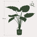 Kunstpflanze - Alocasia - 70 cm Bild 2