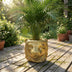 Blumentopf Löwe Gold D11/13×10 cm – Eleganter Deko-Übertopf Bild 4