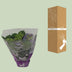 Hydrangea Blauw XL - 14cm Topf - 35cm hoch Bild 5
