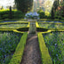 24x Buchsbaum (Buxus Sempervirens) 10-25cm, Ø9cm Bild 8