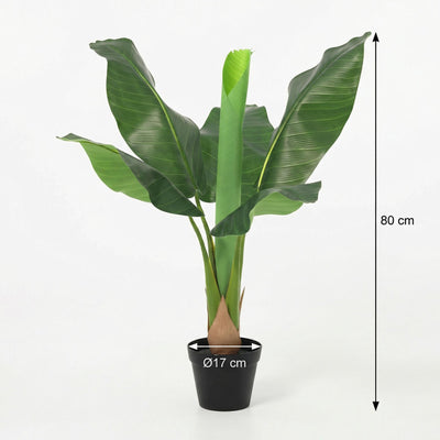 KÜNSTLICHE Bananenpflanze Musa - 80 cm