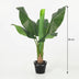 KÜNSTLICHE Bananenpflanze Musa - 80 cm Bild 2