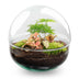 Flaschengarten DIY-Set: Autarkes Biotop mit Fittonia & Moos Bild 1
