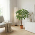 Künstliche Pachira Aquatica, Glückskastanie, 86 cm – Pflegeleicht & Tropisch Bild 3