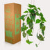 Künstliche Philodendron Hängepflanze - 80 cm - Pflegeleicht & Realistisch Bild 5