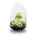 Flaschengarten Egg XL - DIY Pflanzterrarium Set Bild 1