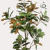 Künstliche Magnolie Grandiflora 180 cm - Natürliche Eleganz für Ihr Zuhause Bild 4