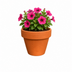 Terracotta Blumentopf P5,5 - P7: Stilvoll & Natürlich Bild 2