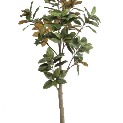 Künstliche Magnolie Grandiflora 180 cm - Natürliche Eleganz für Ihr Zuhause