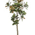 Künstliche Magnolie Grandiflora 180 cm - Natürliche Eleganz für Ihr Zuhause Bild 1