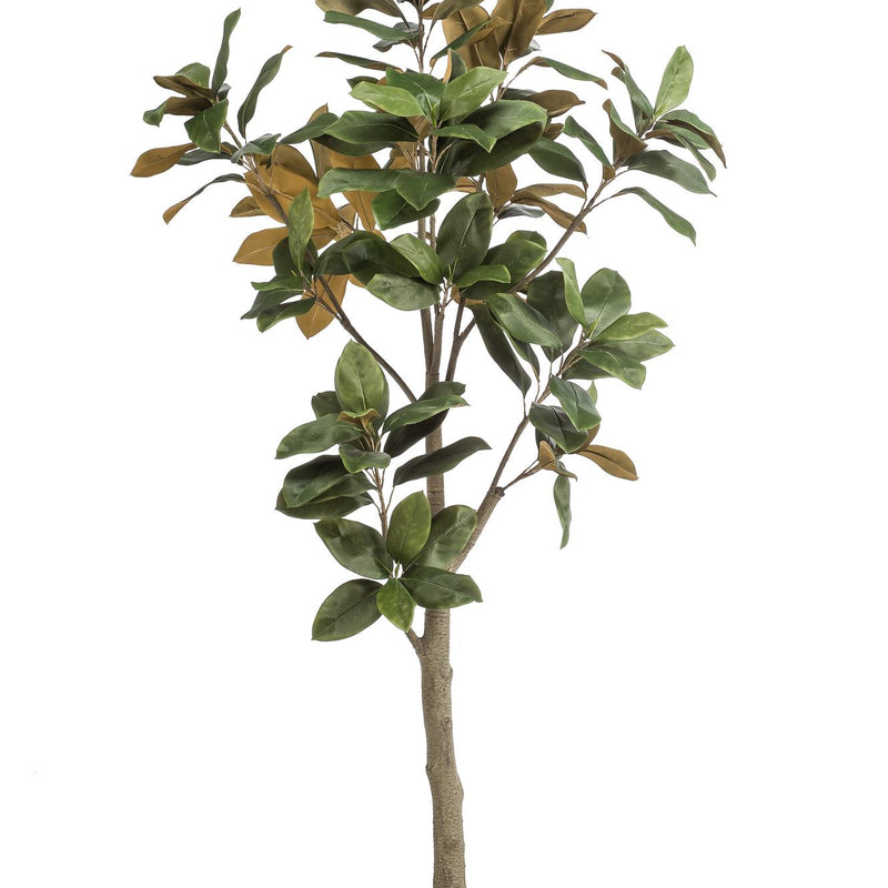 Künstliche Magnolie Grandiflora 180 cm - Natürliche Eleganz für Ihr Zuhause