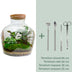 Flaschengarten DIY-Set: Fat Joe (30cm) mit Werkzeugen Bild 3