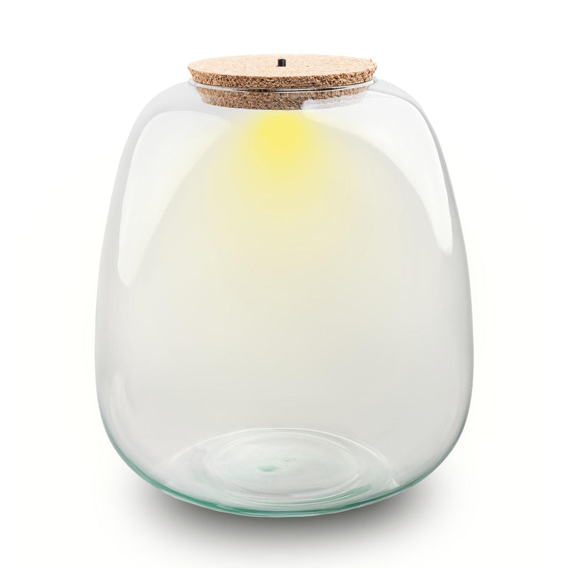 Terrariumglas mit Beleuchtung - Emma - Ø 23 cm ↑ 25 cm
