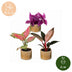 3x Baby Paradise Mix – Tropisches Trio in Rosa-Tönen, Ø6cm Bild 5