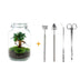 Flaschengarten Ficus Ginseng Bonsai DIY-Set mit Werkzeug, 28cm Höhe Bild 1