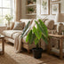 Artificial Alocasia Polly: Artificial Plant, 40cm – Tropical Flair Without the Fuss Bild 5