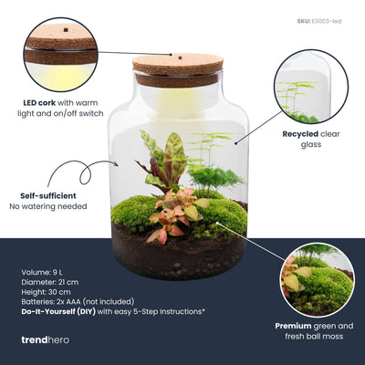 Flaschengarten Milky DIY Terrarium Set - Lebendige Natur auf 30 cm