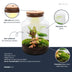 Flaschengarten Milky DIY Terrarium Set - Lebendige Natur auf 30 cm Bild 2