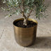 Topf Mayk Gold: Stilvoller Übertopf D20cm, H22cm Bild 6