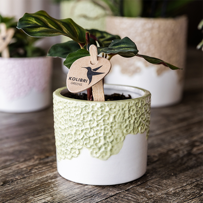 Kolibri Bloom Sierpot Green Ø9cm – Eleganter Blumentopf für Ihr Zuhause
