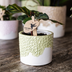 Hummingbird Bloom Decorative Pot Green Ø9cm – Elegant Flowerpot for Your Home Bild 2