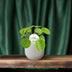 Pilea Peperomioides - Ø13cm - Aluminiumpflanze mit Silbermünz-Blättern Bild 3