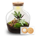 Bottle Garden DIY Kit: Fat Joe Red - 30cm height, no tools required Bild 1
