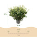GreenboutiQ - Terrassenpflanze - Skimmia japonica Finchy - Blüte Weiß - 40+ Blumen - 2 Pflanzen - Winterhart - Topf 19cm Höhe 60cm Bild 3