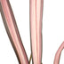 Phormium 'Pink Flamingo' – Pink Flamingoblume, 50cm hoch Bild 3