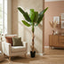Artificial Banana Plant Musa (190 cm) - Tropical Flair Without the Fuss Bild 5