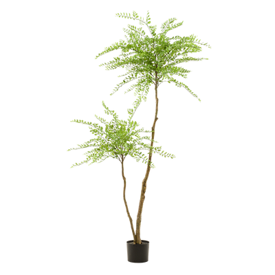 Künstlicher Sophora Baum (Honigbaum), 190 cm - Zeitlose Deko