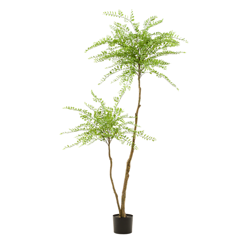 Künstlicher Sophora Baum (Honigbaum), 190 cm - Zeitlose Deko