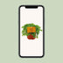 Pilea Depressa Aluminiumpflanze Ø10,5cm, Höhe 15cm Bild 7