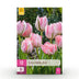 GreenboutiQ - Blumenzwiebeln - Tulp Double Pink - Bulbs Hardy Perennial - Farbe Rosa - 12 Stück - Zwiebelgröße 11/12 - XXL Pack Bild 1