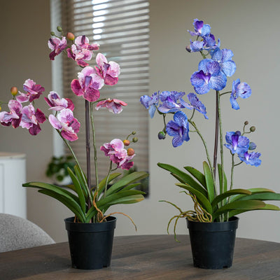 Orchidee Vanda mix - 2 Stück - Kunstpflanzen - Bundle-Set