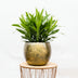 Pflanztopf Ellen Brass - 38x31 cm Messing-Optik Bild 3
