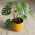 Elho Jazz Topf Rund Bernstein Gelb D23cm H21cm Bild 5