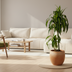 Dracaena Hawaiian Sunshine (Ø19cm) – Tropisches Flair für Ihr Zuhause Bild 5