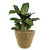 Jip Natur XL Seagrass Planter - Light Brown, Handmade Bild 2