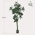 Künstliche Magnolie Grandiflora 180 cm - Natürliche Eleganz für Ihr Zuhause Bild 2