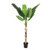 Artificial Banana Plant Musa (190 cm) - Tropical Flair Without the Fuss Bild 1