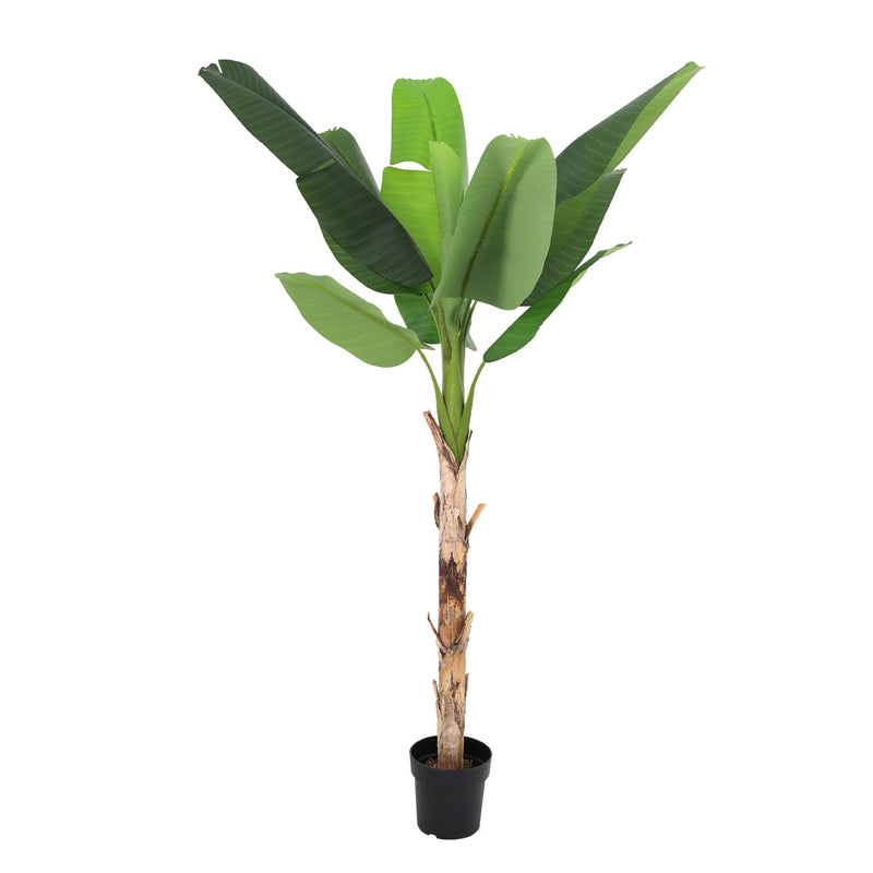 Artificial Banana Plant Musa (190 cm) - Tropical Flair Without the Fuss
