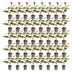 Green boutiQ - 40x Photinia fraseri Red Robin - Glanzmispel - Heckenpflanzen - Immergrün - Rot - Topf 9cm - Höhe 25-35cm Bild 2