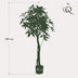 Artificial Pachira Aquatica Money Tree 150cm Bild 2
