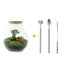 Flaschengarten Teddy-Bonsai DIY-Set mit Werkzeug & Anleitung Bild 3