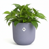 Elho Jazz Round Topf Lavendel Flieder D26 x H24 cm Bild 4